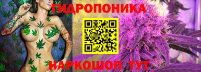 ПСИЛОЦИБИНОВЫЕ ГРИБЫ Туймазы