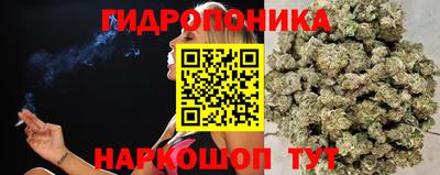 винт Тула