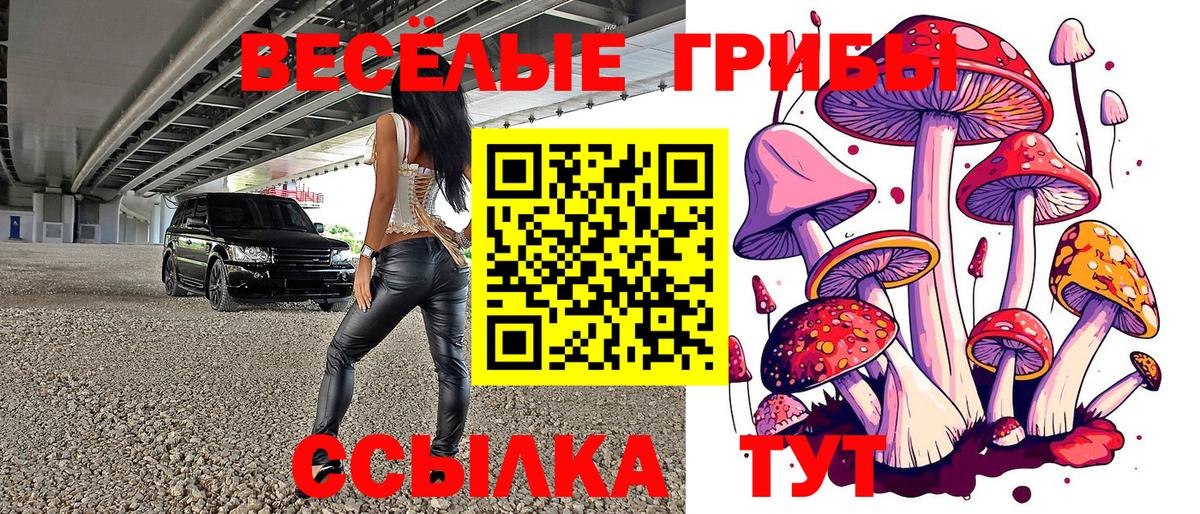 Галлюциногенные грибы MAGIC MUSHROOMS Приморско-Ахтарск