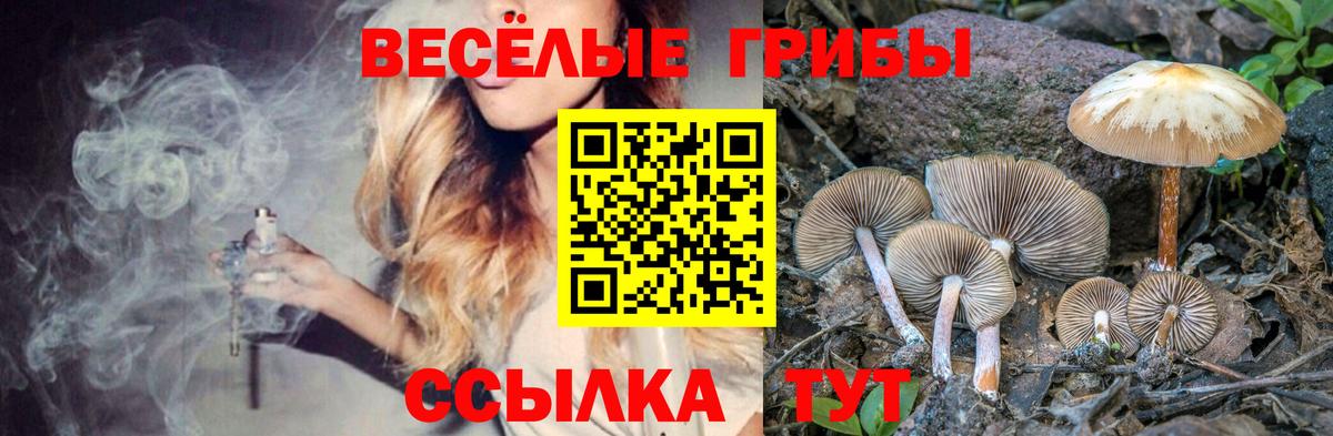 Псилоцибиновые грибы мицелий  Вход с VPN  Псилоцибиновые грибы MAGIC MUSHROOMS  Приморско-Ахтарск 